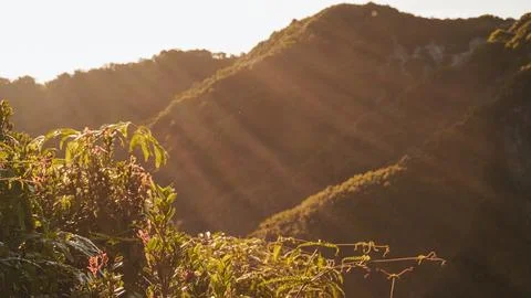 Sun rays illuminating a lush green mountainside, creating a serene and pict.. Stock Photos
