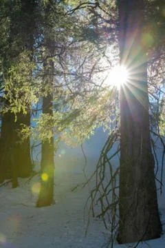 Sun rays in the mountains Stock-Fotos