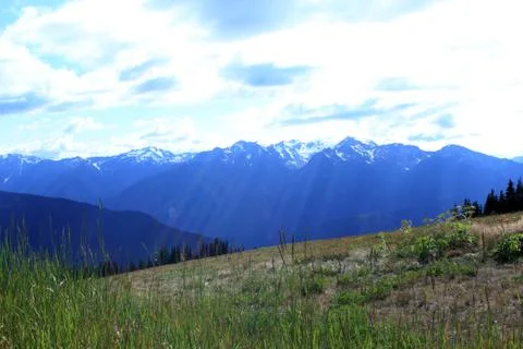 Sun rays at Olympic National Park Stock Photos
