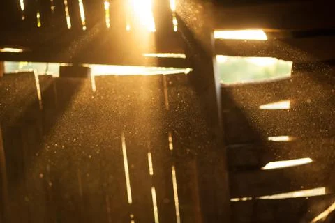 Sun rays out of focus dark abstract background Stock Photos