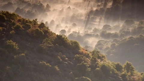 Sun rays over the foggy Graveyard Fields landscape at sunrise Stock Footage 103759765