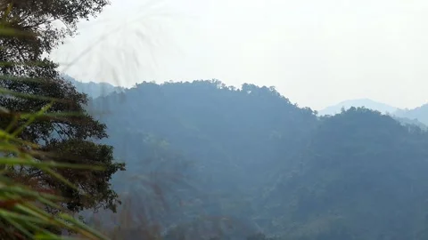 Sun Rays Over Forested Mountain Hills Stock Footage 329840357