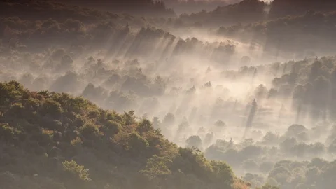 Sun rays over the Graveyard Fields landscape at sunrise Stock Footage 103758041