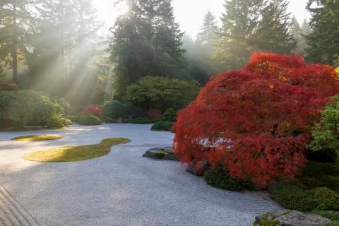 Sun Rays over Japanese Flat Sand Garden in Autumn Fotos Stock