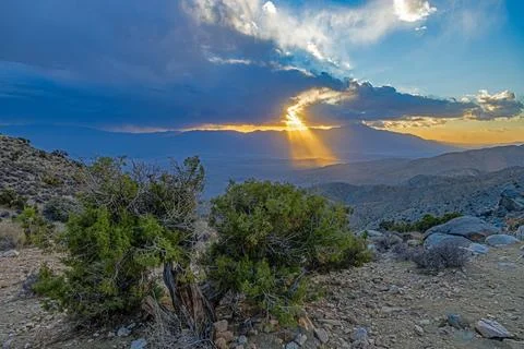 Sun rays over mountains in Joshua Tree National Park California Stock Photos