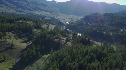 Sun rays over the river, aerial photography of pine forest, river and mountains Stock Footage 124056218