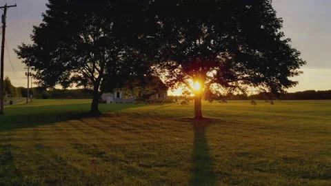 Sun rays over tree leaves at sunset Vidéo 199989388
