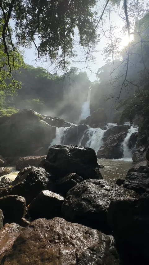 Sun Rays Over Waterfall in Lush Jungle, Rocky River, Vertical View 스톡 동영상 325646251