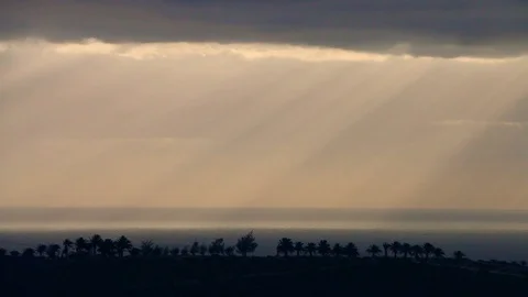 Sun rays, palm trees, sea Stock Footage 108406884