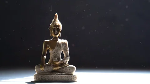 Sun rays &amp; particles hitting buddha idol Stock Footage 119696467