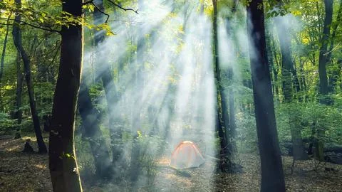 Sun rays passing through the smoke through the forest with the tent in the Foto stock