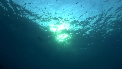Sun rays penetrate at sunset through the surface of the water. Underwater light Stock Footage 119213372