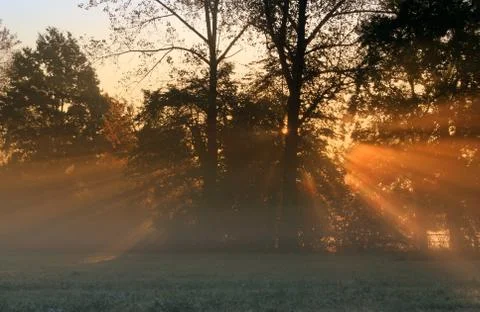 Sun rays Stock Photos