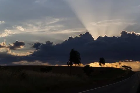 Sun rays Stock Photos