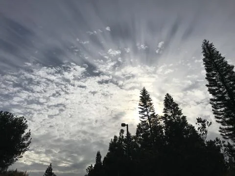 Sun Rays 스톡 사진