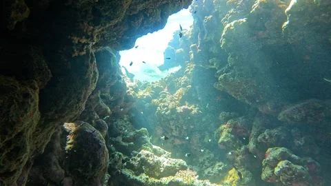 Sun Rays Piercing Through Underwater Cave Reef 库存影片 332911528