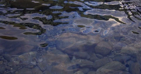 Sun rays reflecting in river water, slow motion Stock Footage 69916665