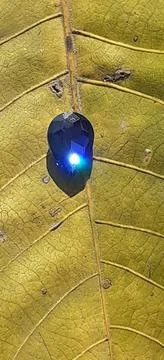 Sun Rays Reflection from Blue stone Stock Photos