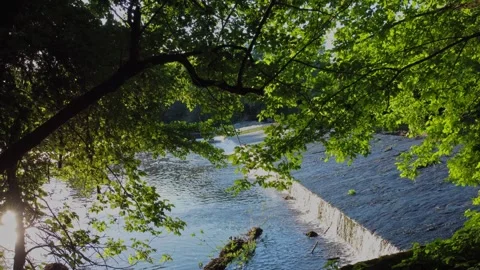 Sun rays on the river Stock Footage 291373165