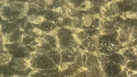 Sun rays on sandy bottom ocean caustic Stock Footage 251564022