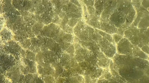 Sun rays on sandy bottom sea caustic Stock Footage 251564035