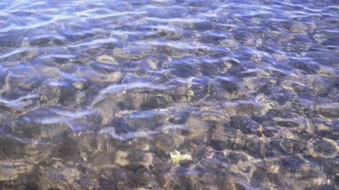 Sun rays on sea water. Transparent sea background motion 動画素材 143818911