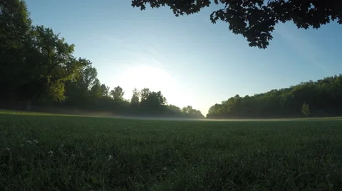 Sun rays seen through ground fog time lapse Stock Footage 50780189