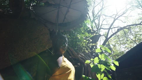Sun rays in the shady forest fall on a beautiful statue of the meditating Buddha Stock Footage 246861759