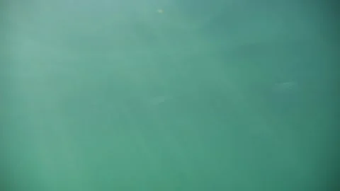 Sun rays shimmering under the sea as they pass through its rhythmic surface.. Video stock 248683330