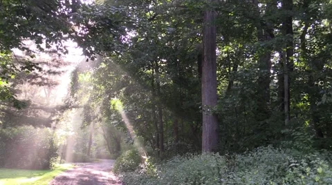 Sun rays shine on country road 4 Stock Footage 54332220