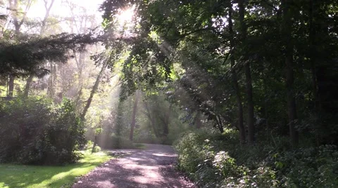 Sun rays shine on country road 3 Stock Footage 54332221