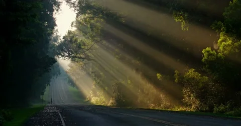 Sun rays shine down beautifully onto a highway or road. Stock Footage 66294613