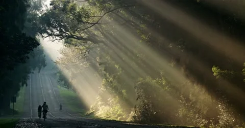 Sun rays shine down beautifully onto a highway or road as bicycles pass. Stock Footage 66294857