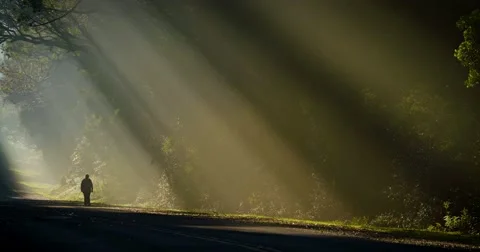 Sun rays shine down beautifully onto a highway or road with a person walking Stock Footage 66296710