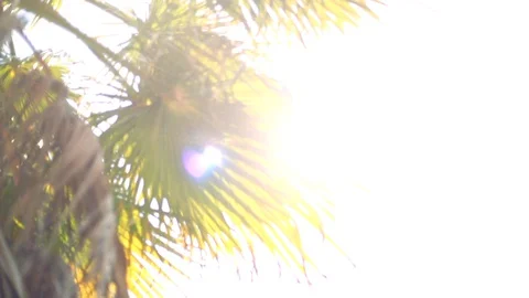 Sun rays shine Stock Footage 129183979