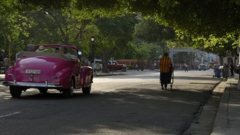 Sun rays shine on iconic classic American 1950's vintage convertible car drive Stock Footage 99841403