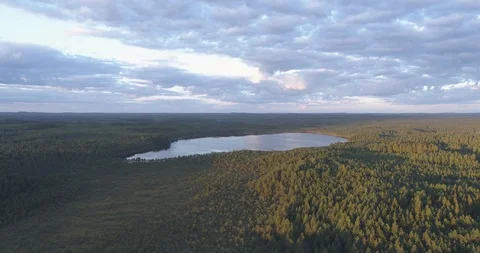 Sun rays Shine Through Clouds and Hit the Swampy Pine Forest in Finland Video stock 86391370