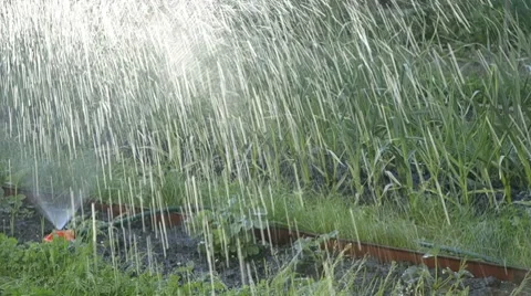 Sun rays shine through the sprayed water drops Stock Footage 7131480