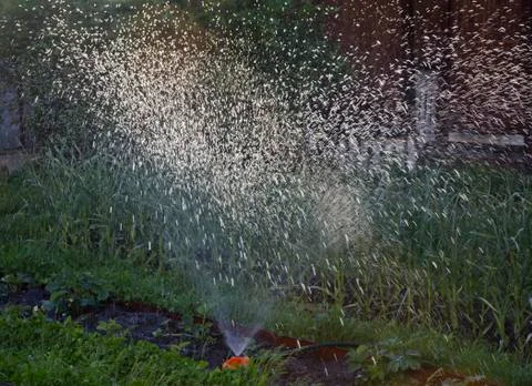 Sun rays shine through the sprayed water drops Stock Photos
