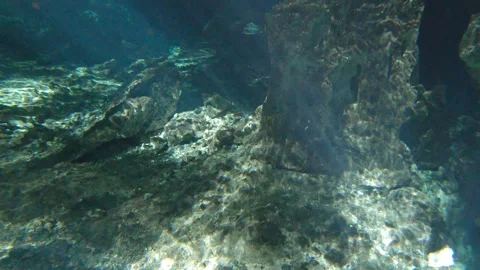 Sun Rays Shine Trough Water Surface of cenote natural pit Mexico Yucatan Stock Footage 253270835