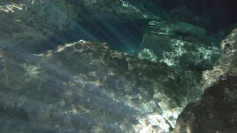 Sun Rays Shine Trough Water Surface of cenote natural pit Mexico Yucatan Stock Footage 253271239