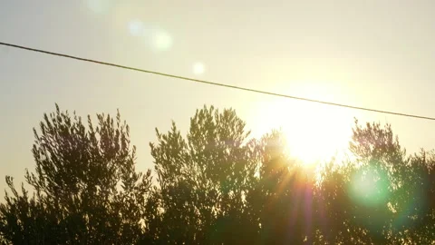 Sun Rays Shining Behind the Trees Stock Footage 210829526