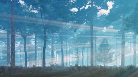 Sun rays shining in foggy pine forest Stock Illustration