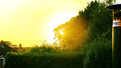Sun Rays Shining in Garden 1 Stock Footage 112256133