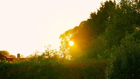Sun Rays Shining in Garden 2 Vidéo 112255360