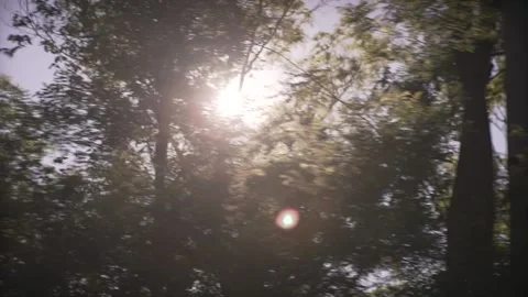 Sun rays shining through beautiful green park plants trees on summer sunny day o Stock Footage 132672355