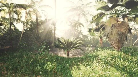 Sun rays shining through palm leaves in tropical park Ilustração Stock