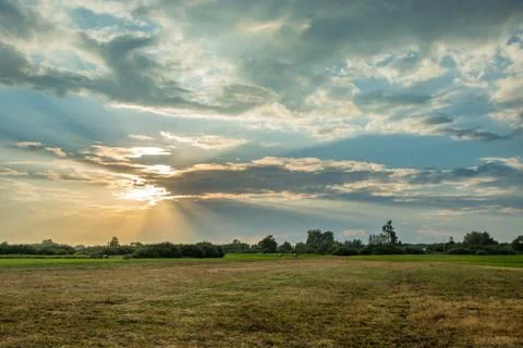 Sun rays in the sky and meadow Stock Photos