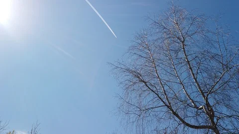 Sun rays. The sky and the tree. Trace of an airplane in the sky. Stock Footage 129555448