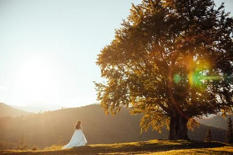 Sun rays sparkle between couple watching sunset through the tree Stock Photos